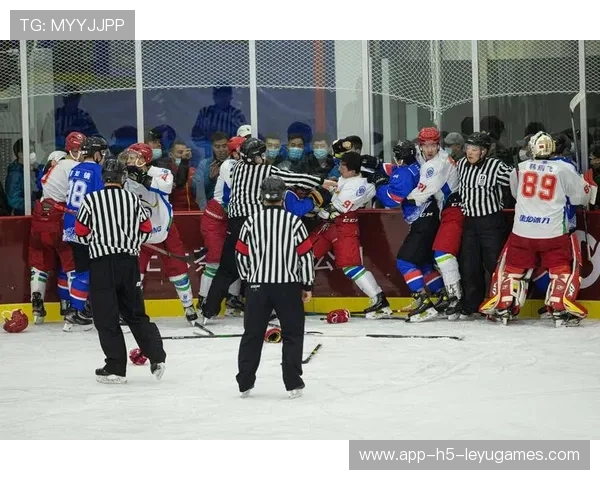 冰球比赛全队冲突，教练组也差点冲进去